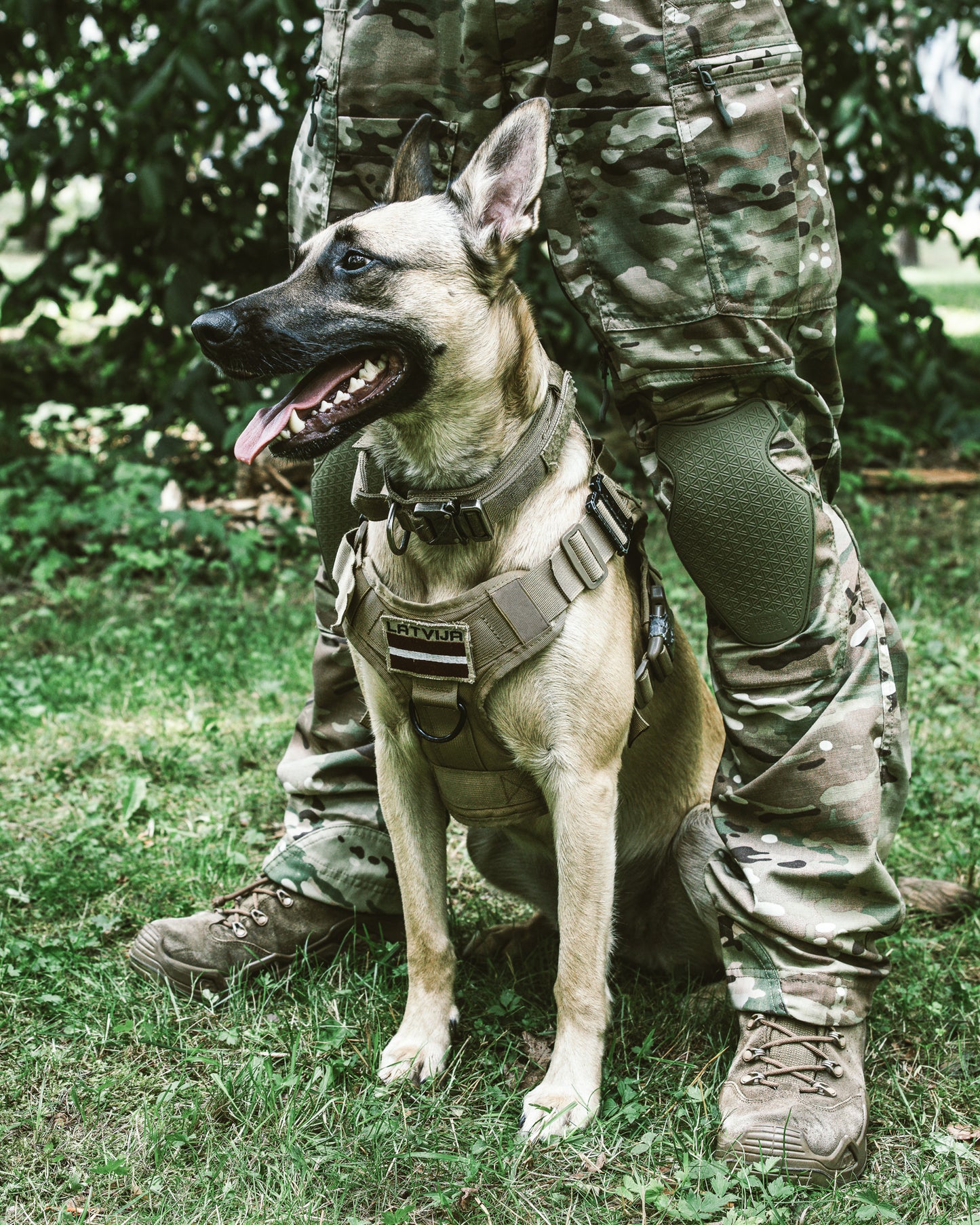 Ranger Green