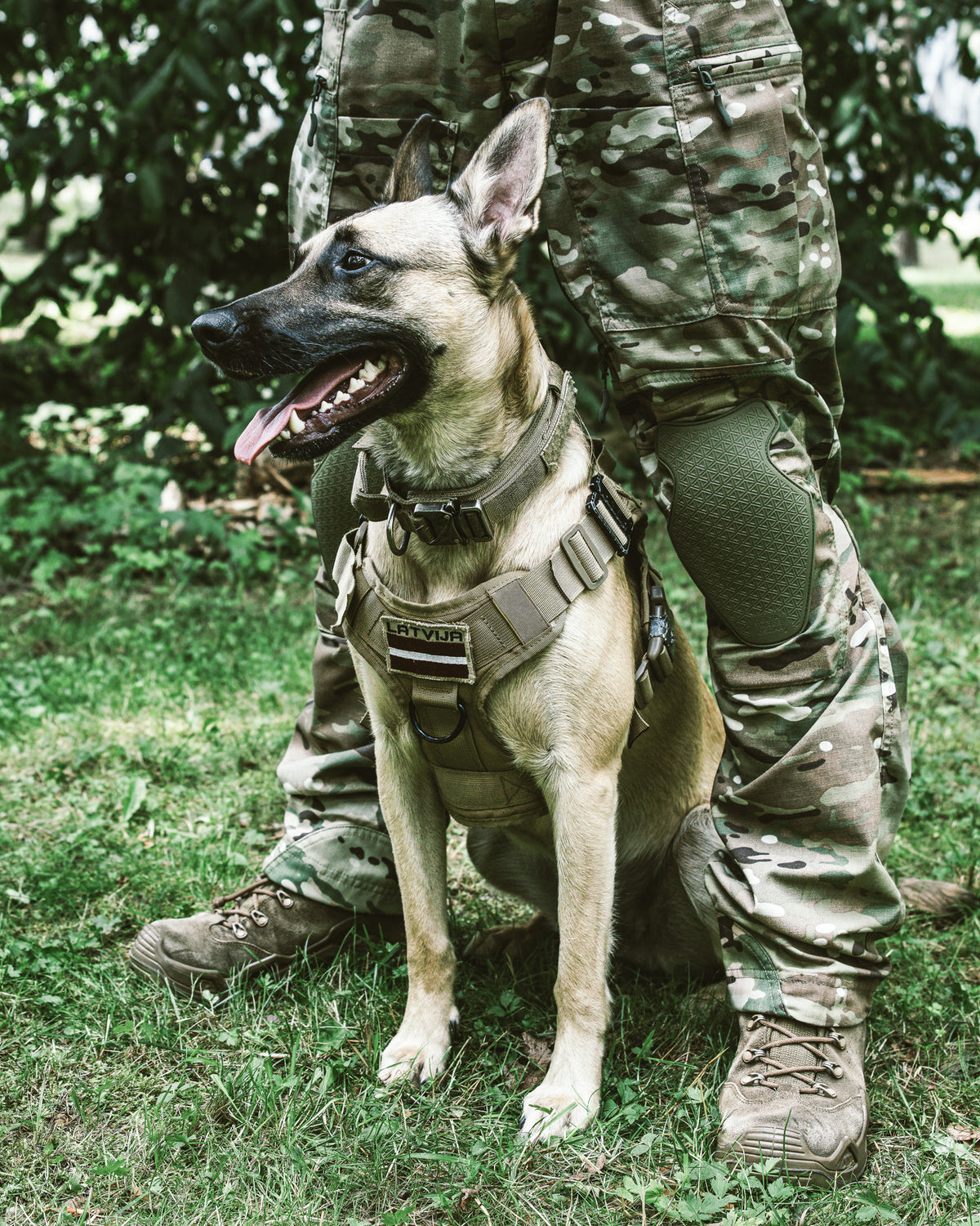 Ranger Green