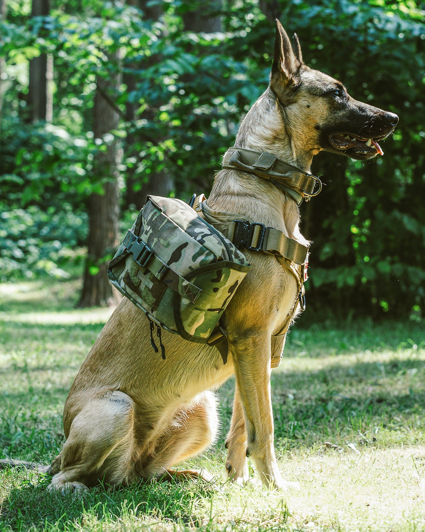 Multicam